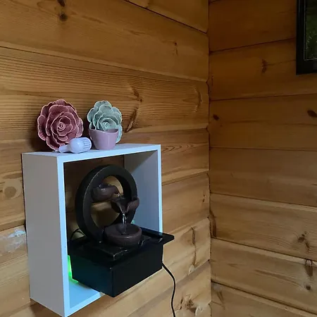 Melusine Saint-Remy-en-Rollat